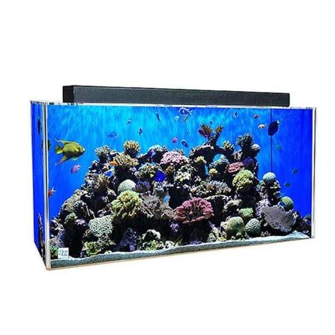 20 gallon acrylic aquarium|clear for life bowfront aquarium.